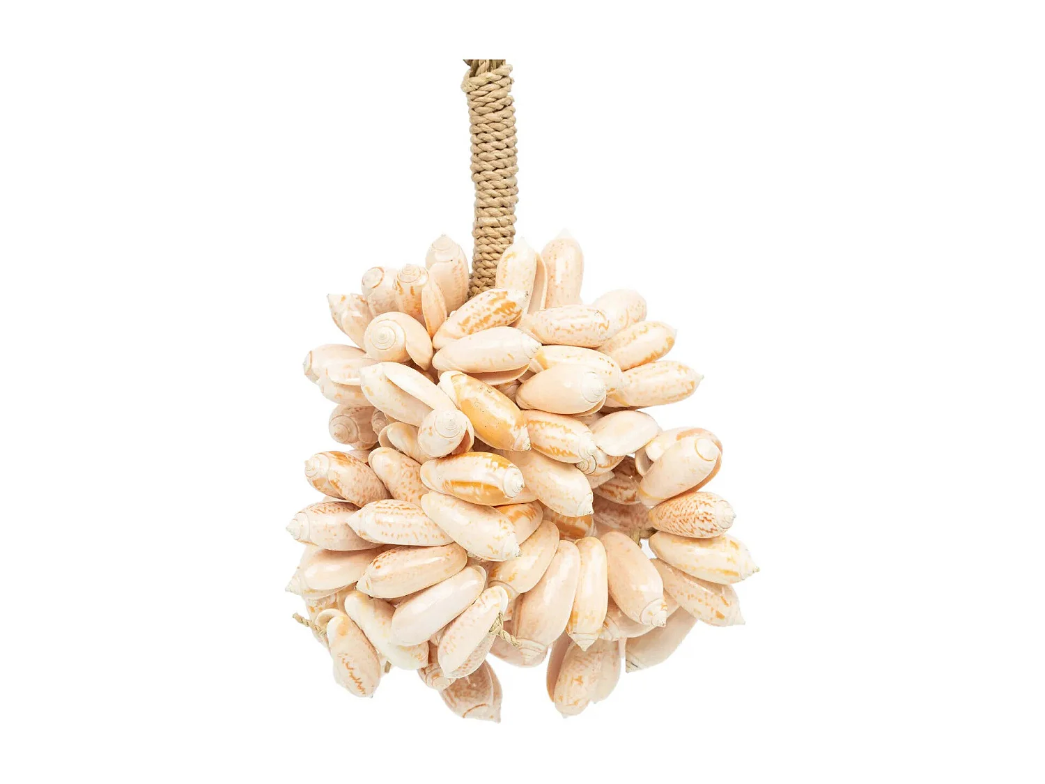 Le Pompon Coquillage Rose