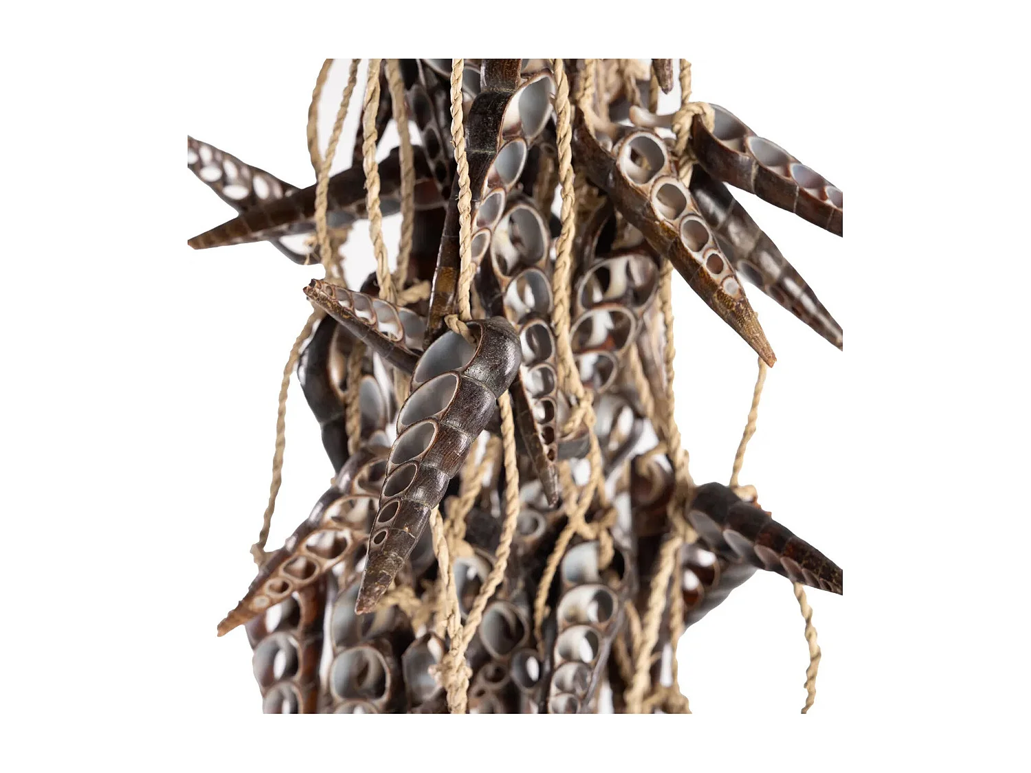 Die Einhorn-Muschel-Quaste – Braun