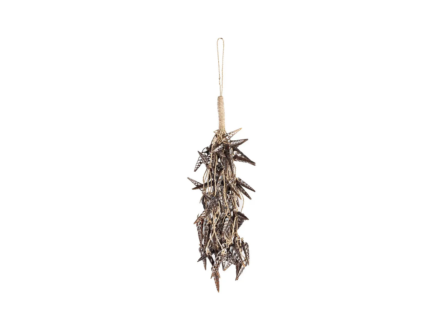 Le Pompon Coquillage Licorne - Marron