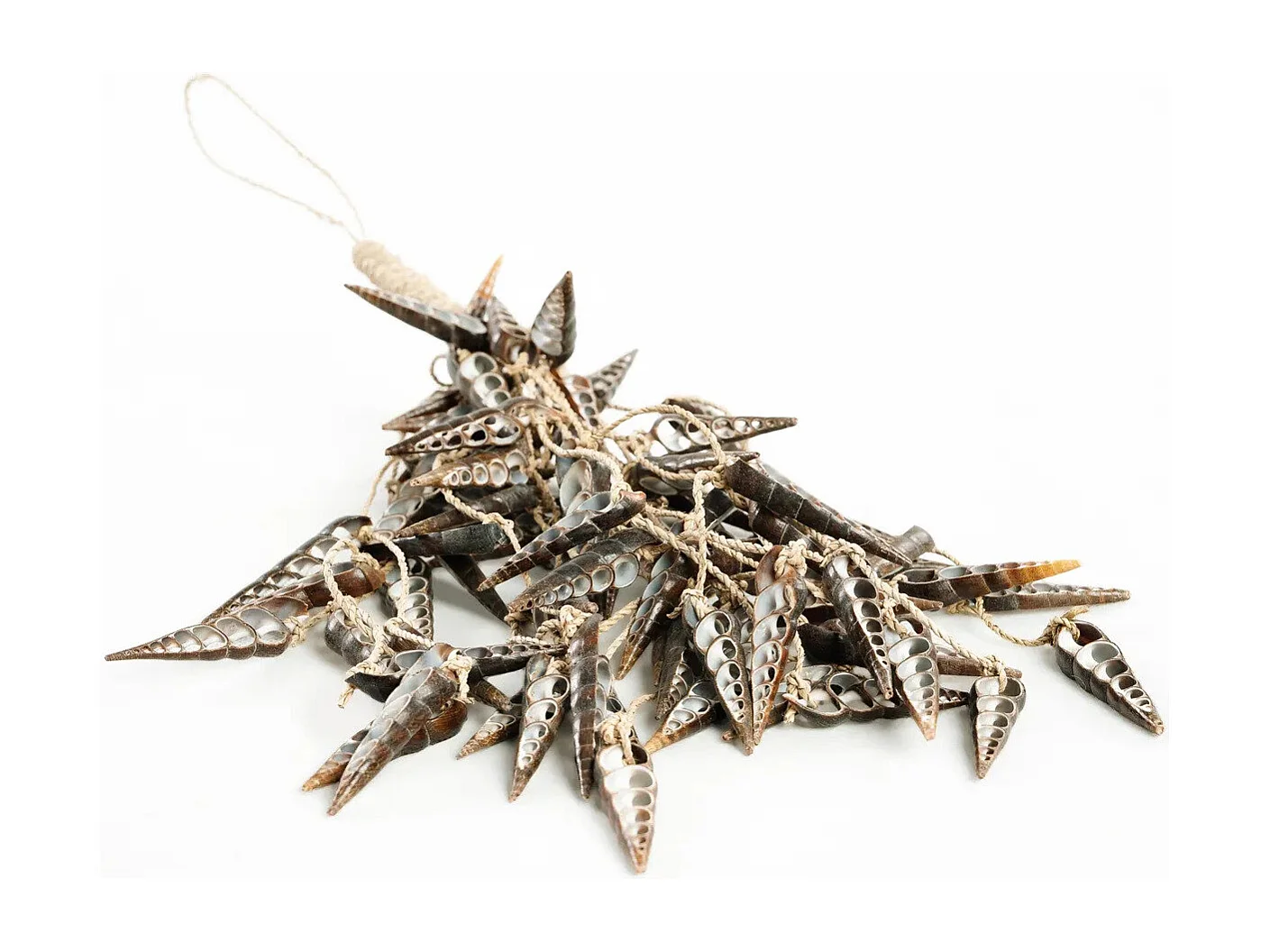 Le Pompon Coquillage Licorne - Marron