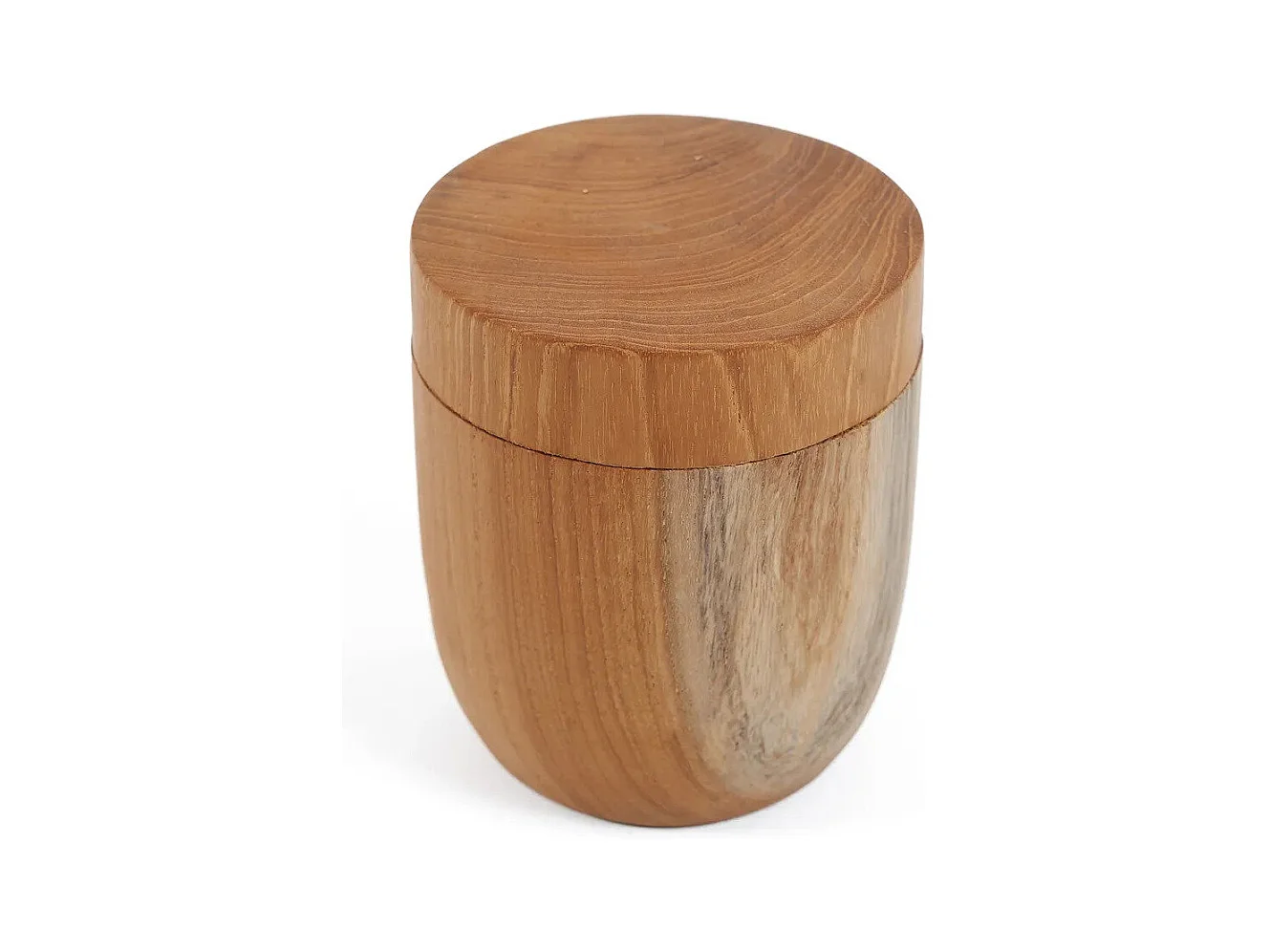 Le Pot De Racines De Teck Bas - M
