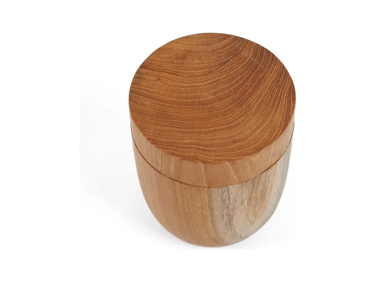Le Pot De Racines De Teck Bas - M