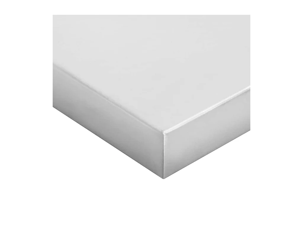 Mensole a Muro 2 pz 100x30x3 cm Argento in Acciaio Inossidabile