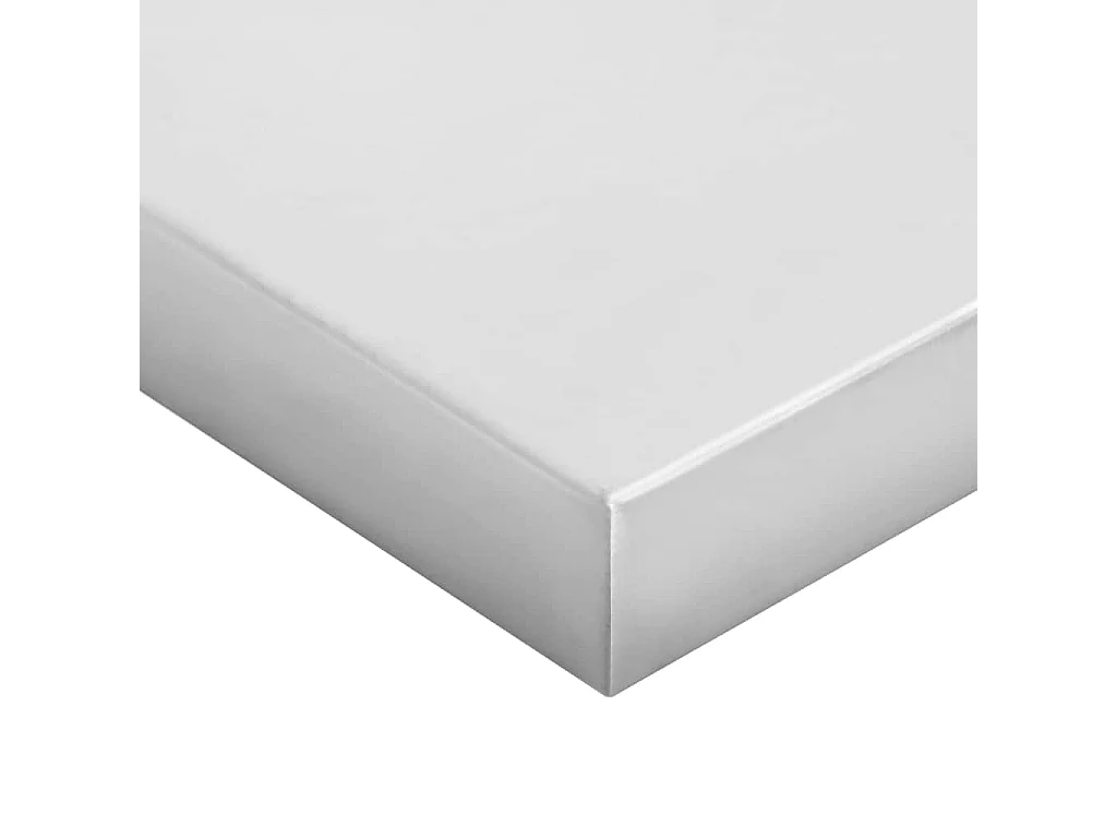 Étagères murales 2 pcs 100x30 cm argenté acier inoxydable