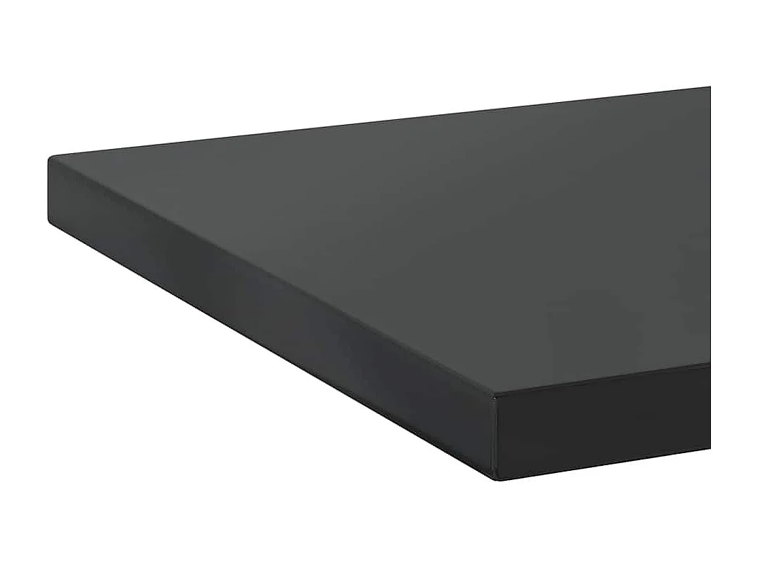 Wandschappen 2 st 100x40 cm roestvrijstaal zwart
