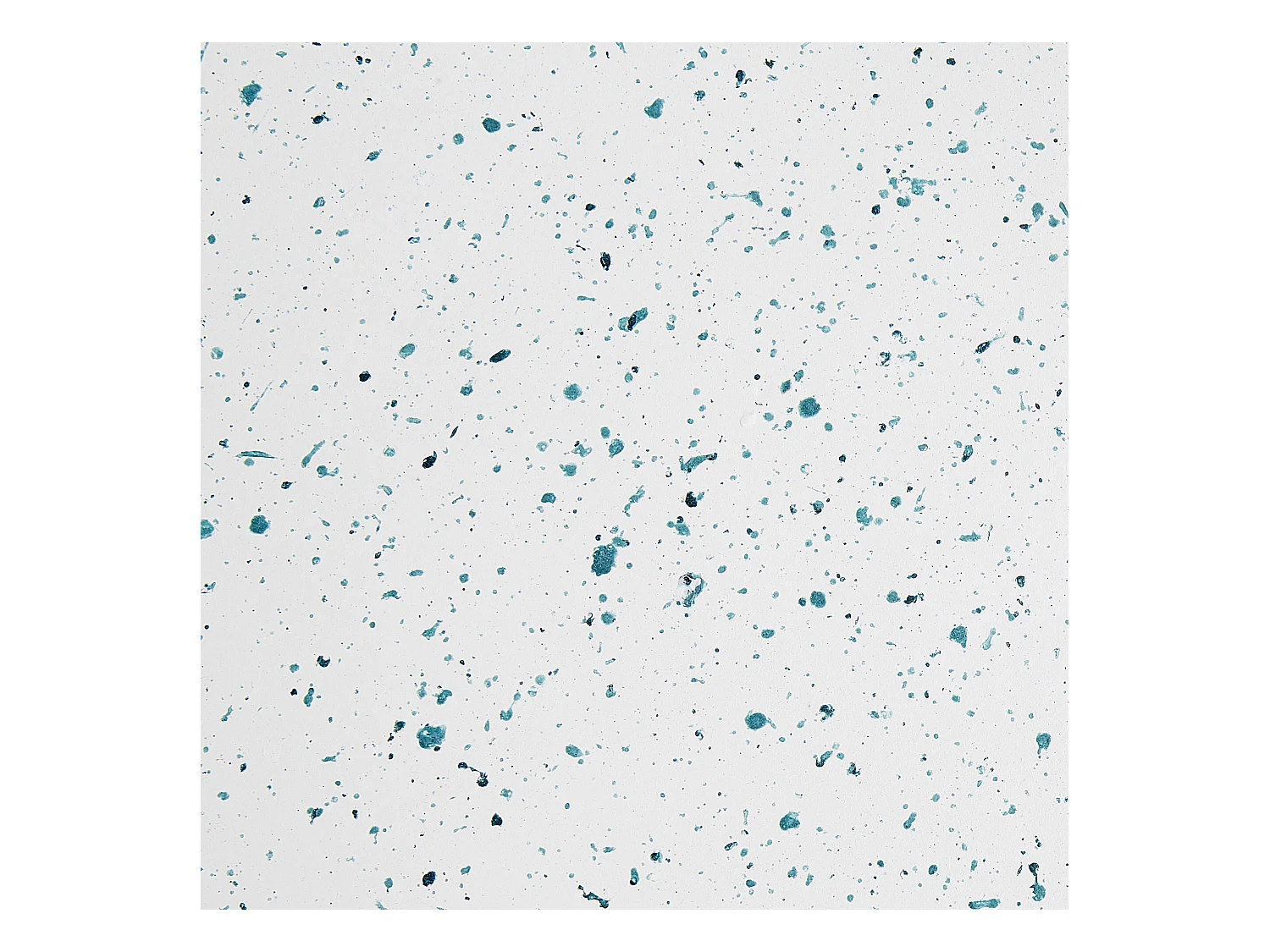 Table d'appoint CAORIA Terrazzo blanc