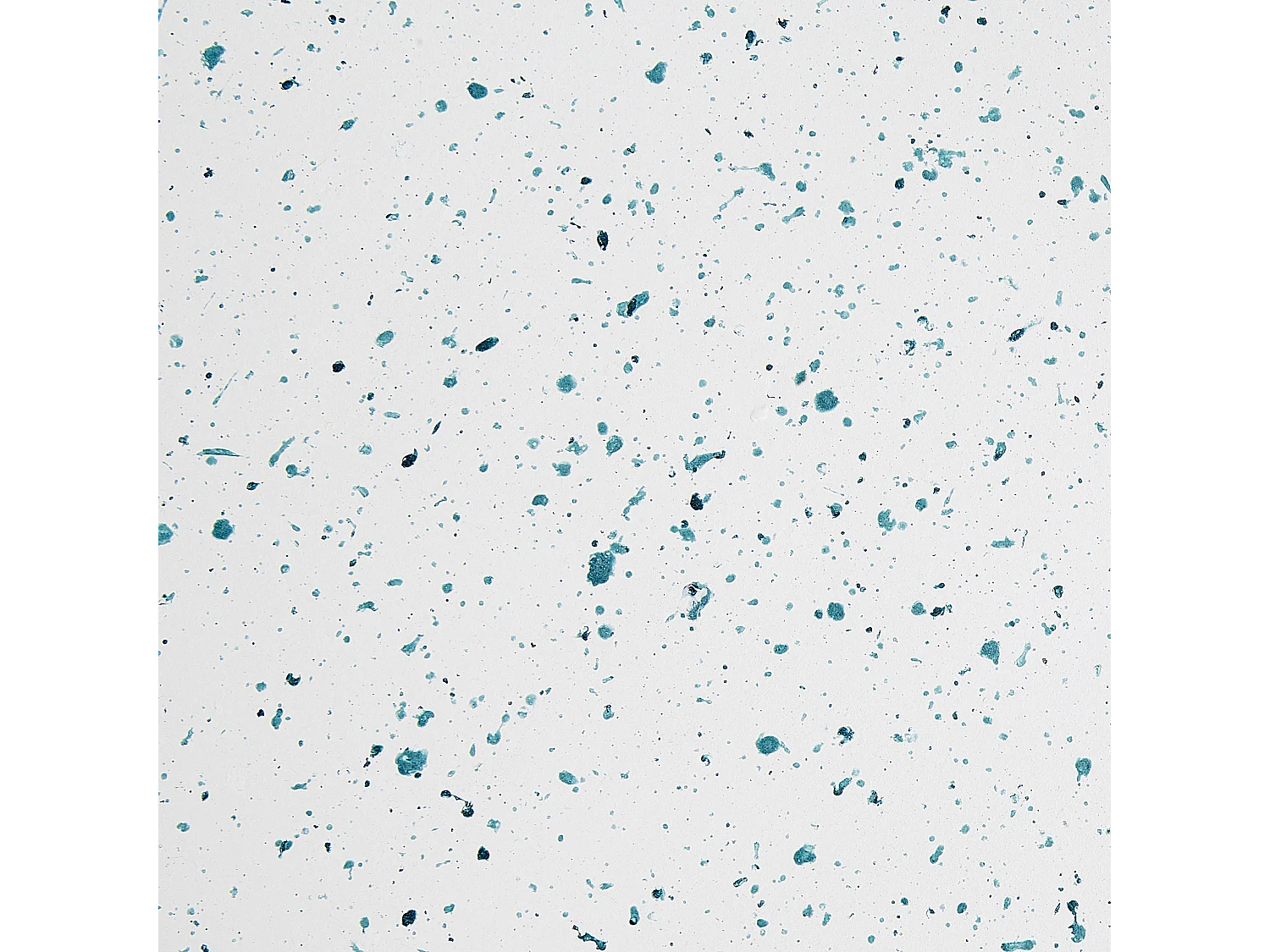 Table d'appoint CAORIA 40 cm 40 cm Effet terrasse Terrazzo blanc