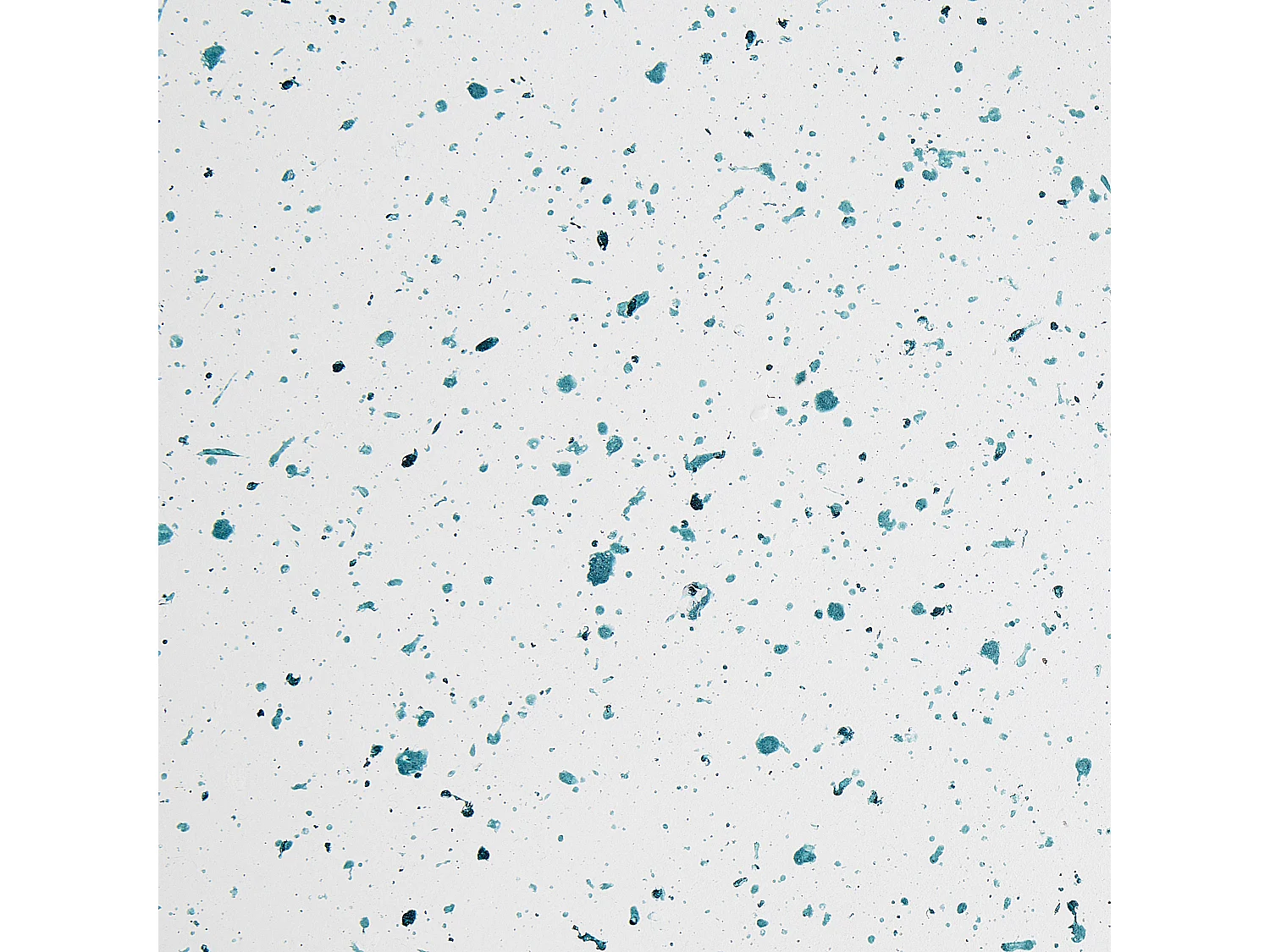 Beistelltisch Beton und Glasfaser weiß Terrazzo Optik rund ⌀ 40 cm modern Caoria