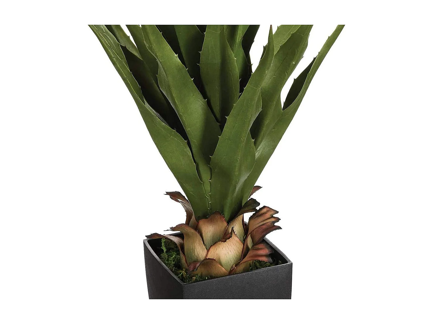 WELL HOME - Palmier artificiel en pot H.70cm Décoration d'intérieur