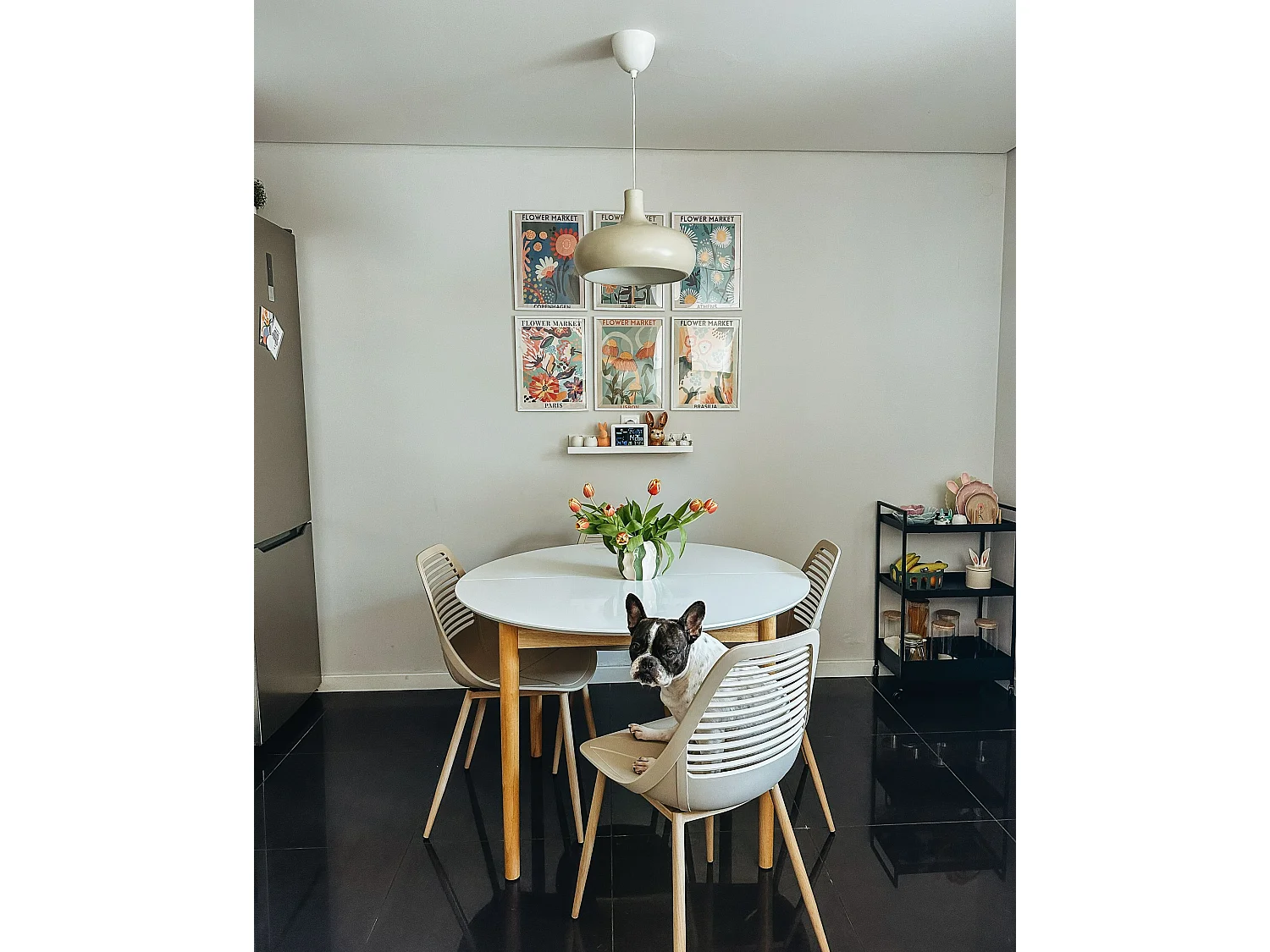 Lot de 4 chaises de salle à manger MONTELLO Beige