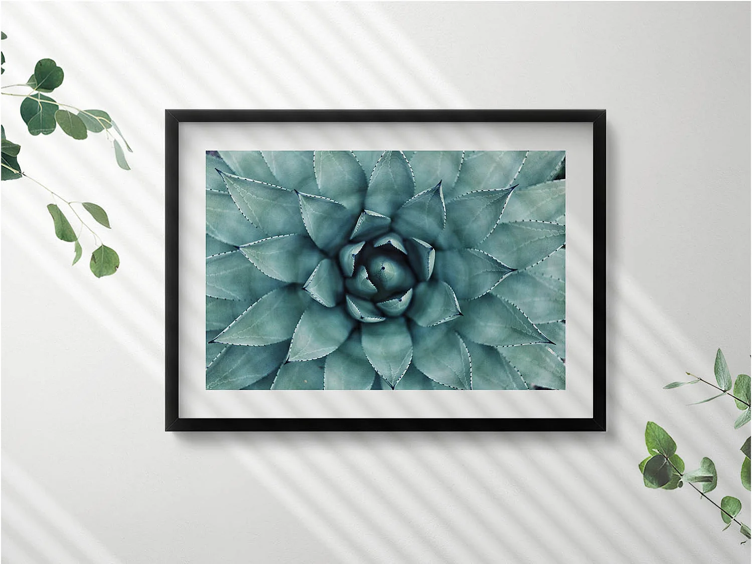 Tableau décoratif avec cadre noir, Plante succulente verte 70 x 50 cm– Parfait pour le salon ou la chambre