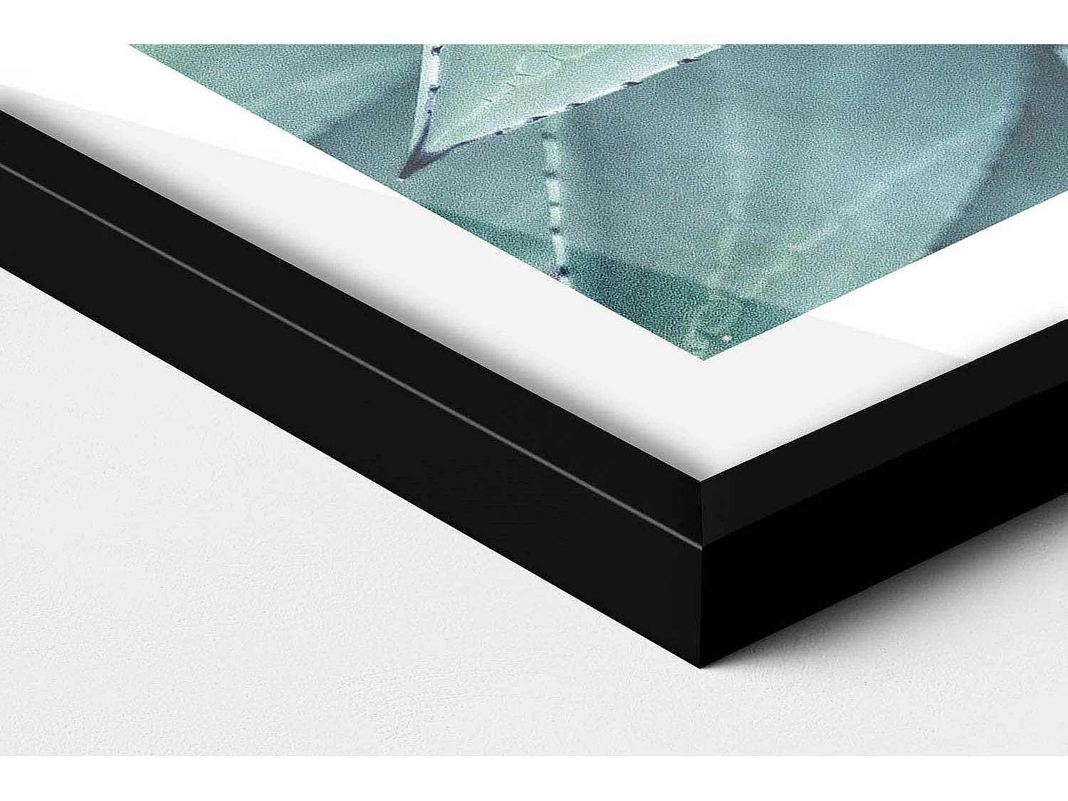 Tableau décoratif avec cadre noir, Plante succulente verte 70 x 50 cm– Parfait pour le salon ou la chambre