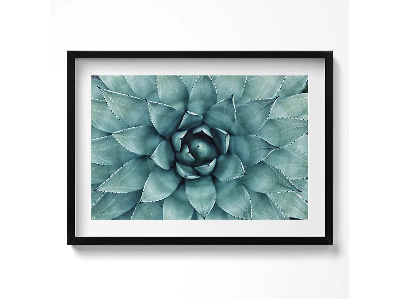 Cuadro decorativo con marco negro, Planta suculenta verde 70 x 50 cm – Perfecto para el salón o el dormitorio