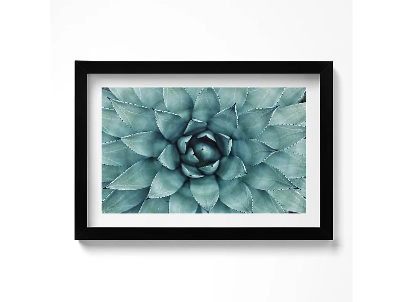 Decoratief schilderij met zwarte lijst, Groene vetplant 30 x 20 cm – Perfect voor de woon- of slaapkamer