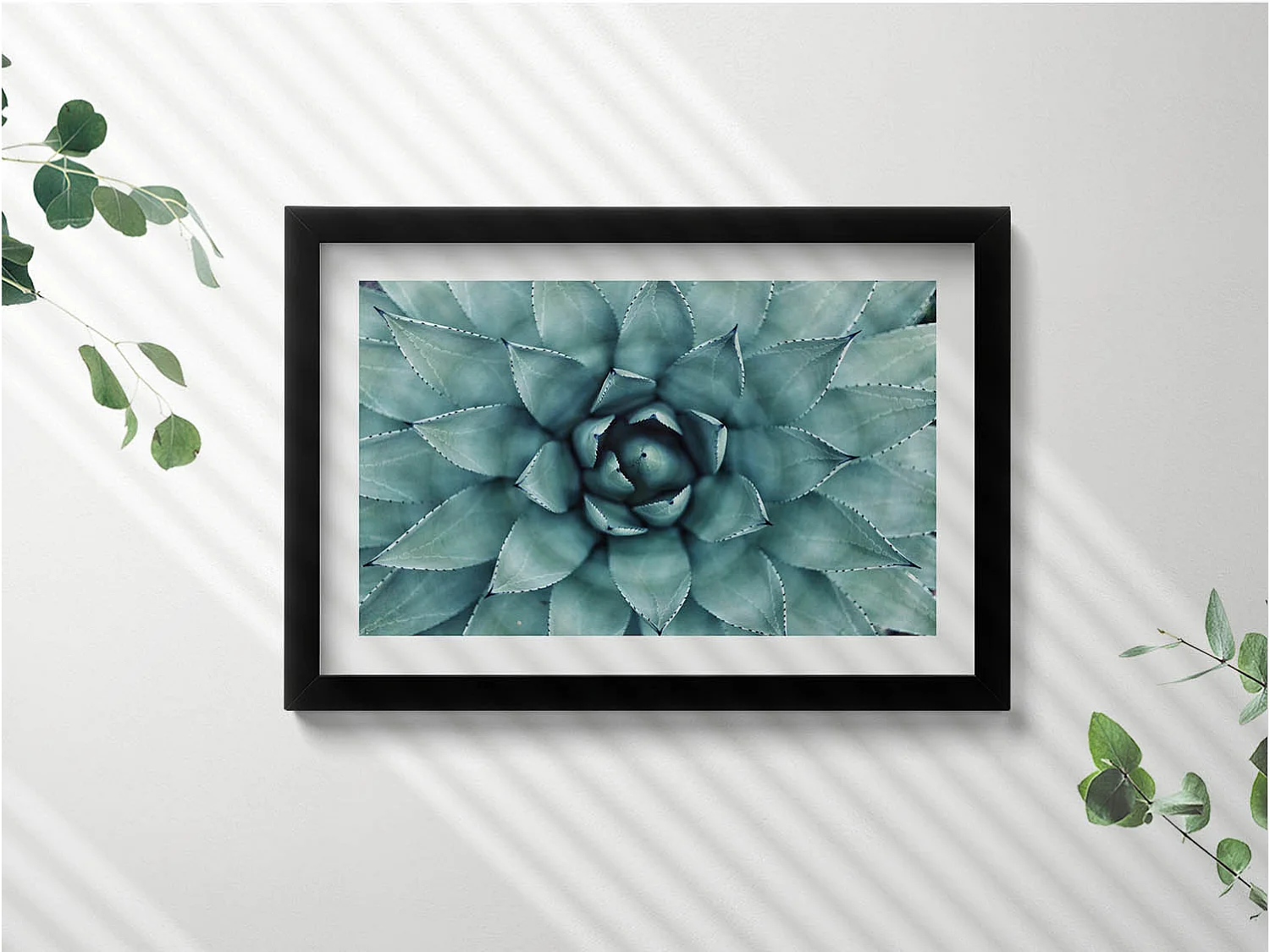 Dekoratives Gemälde mit schwarzem Rahmen, Grüne Sukkulente 30 x 20 cm – Perfekt für das Wohn- oder Schlafzimmer