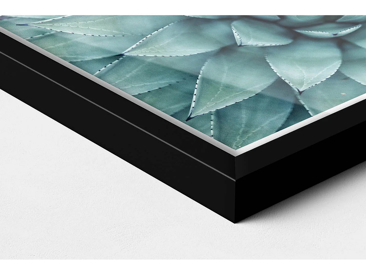 Dekoratives Gemälde mit schwarzem Rahmen, Grüne Sukkulente 30 x 20 cm – Perfekt für das Wohn- oder Schlafzimmer