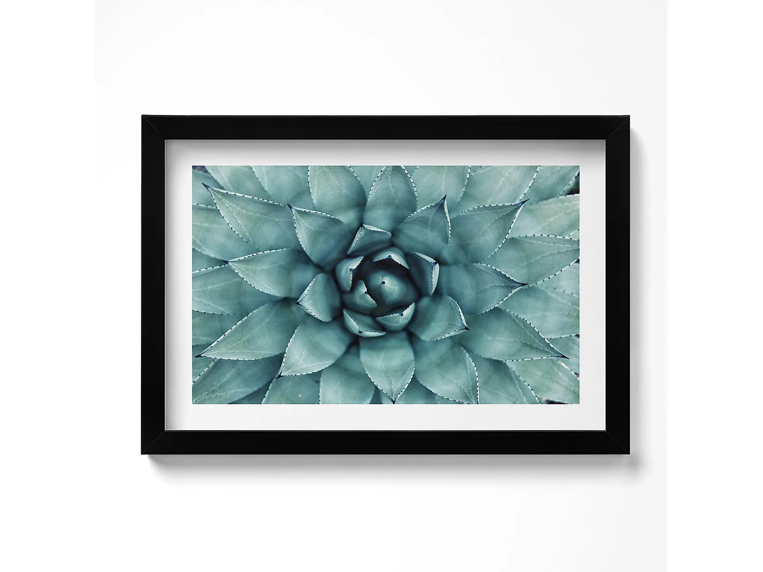 Dekoratives Gemälde mit schwarzem Rahmen, Grüne Sukkulente 30 x 20 cm – Perfekt für das Wohn- oder Schlafzimmer
