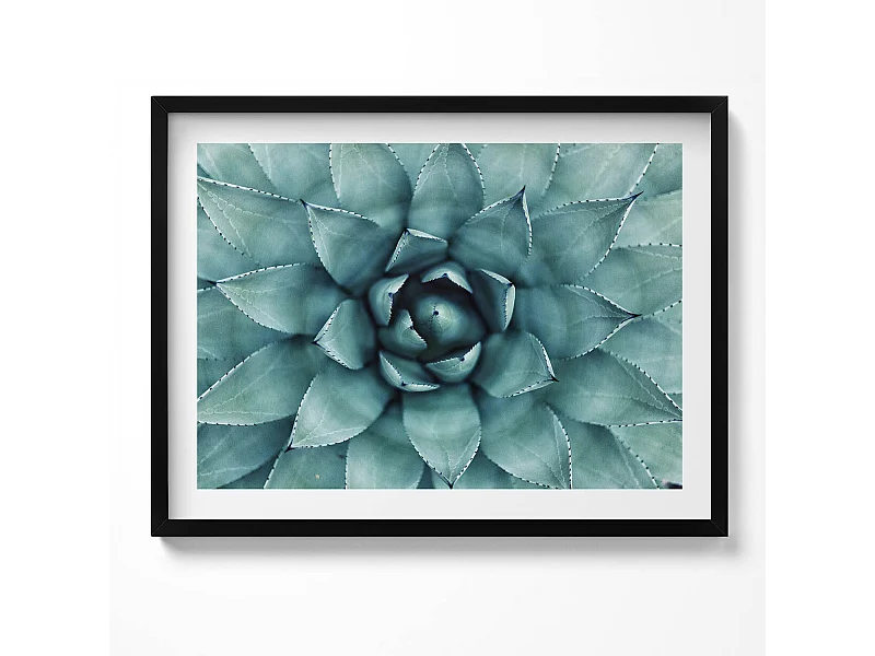Dekoratives Gemälde mit schwarzem Rahmen, Grüne Sukkulente 80 x 60 cm – Perfekt für das Wohn- oder Schlafzimmer