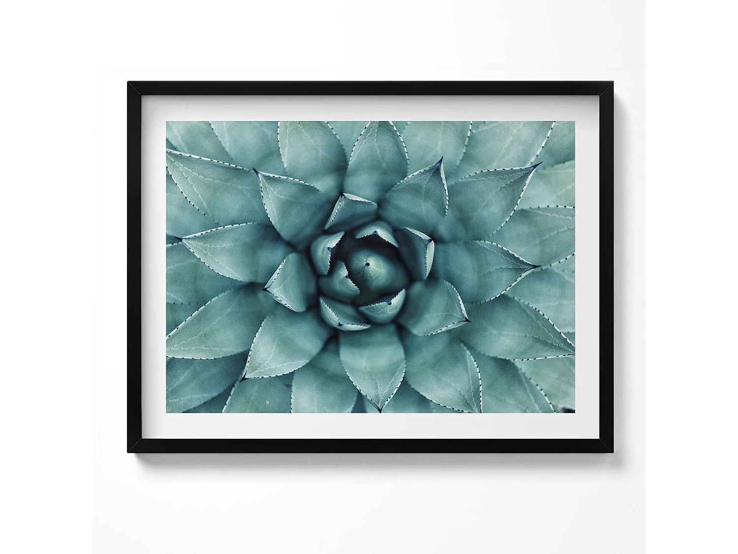 Dekoratives Gemälde mit schwarzem Rahmen, Grüne Sukkulente 80 x 60 cm – Perfekt für das Wohn- oder Schlafzimmer