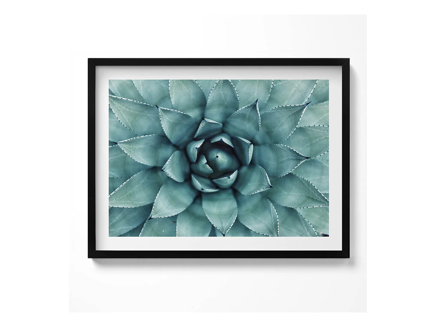 Tableau décoratif avec cadre noir, Plante succulente verte 80 x 60 cm– Parfait pour le salon ou la chambre