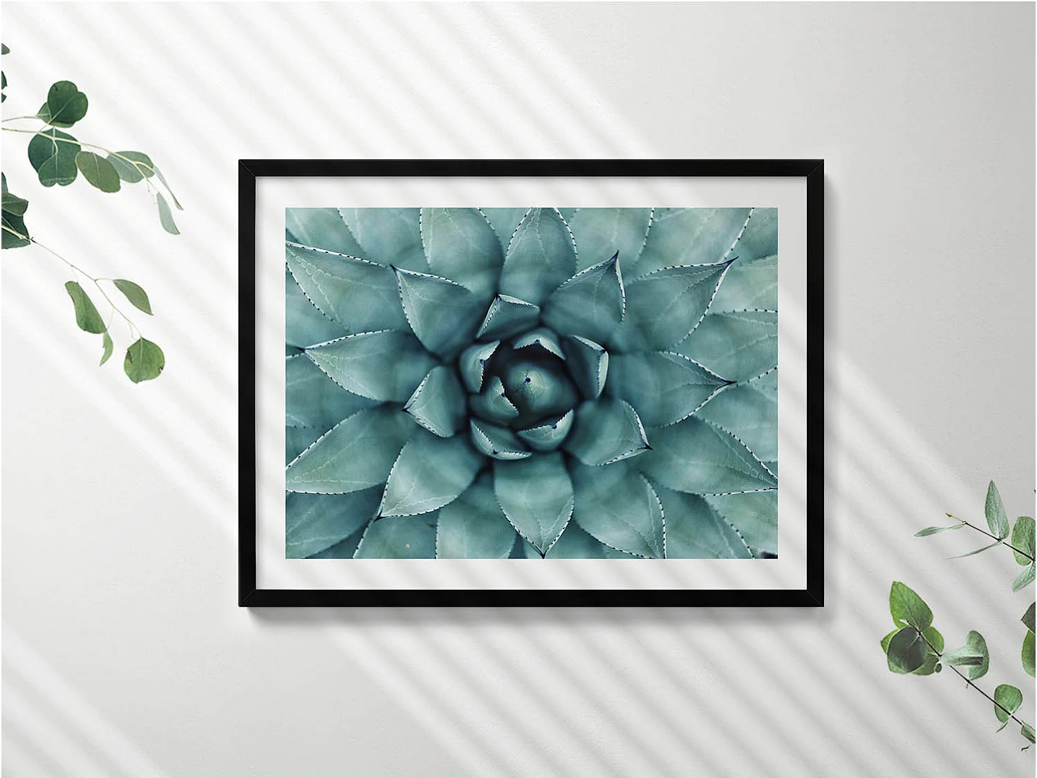 Dekoratives Gemälde mit schwarzem Rahmen, Grüne Sukkulente 80 x 60 cm – Perfekt für das Wohn- oder Schlafzimmer