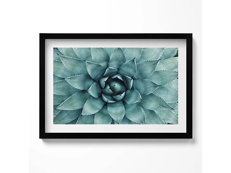 Decoratief schilderij met zwarte lijst, Groene vetplant 60 x 40 cm – Perfect voor de woon- of slaapkamer