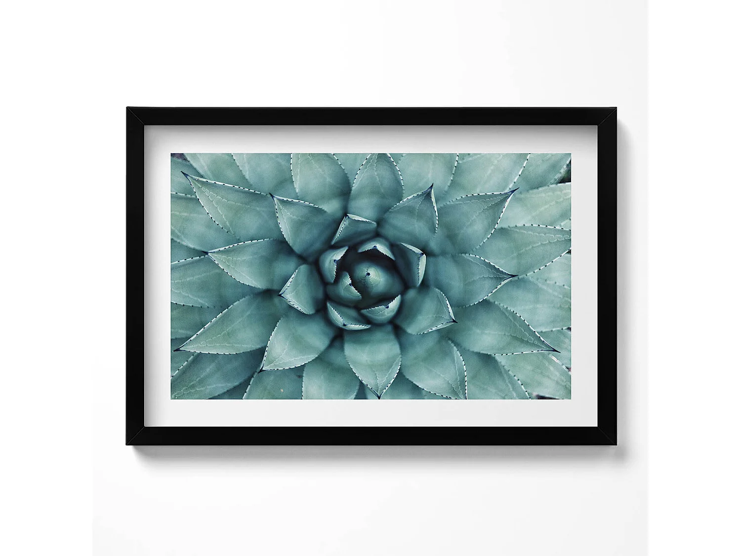 Decoratief schilderij met zwarte lijst, Groene vetplant 60 x 40 cm – Perfect voor de woon- of slaapkamer