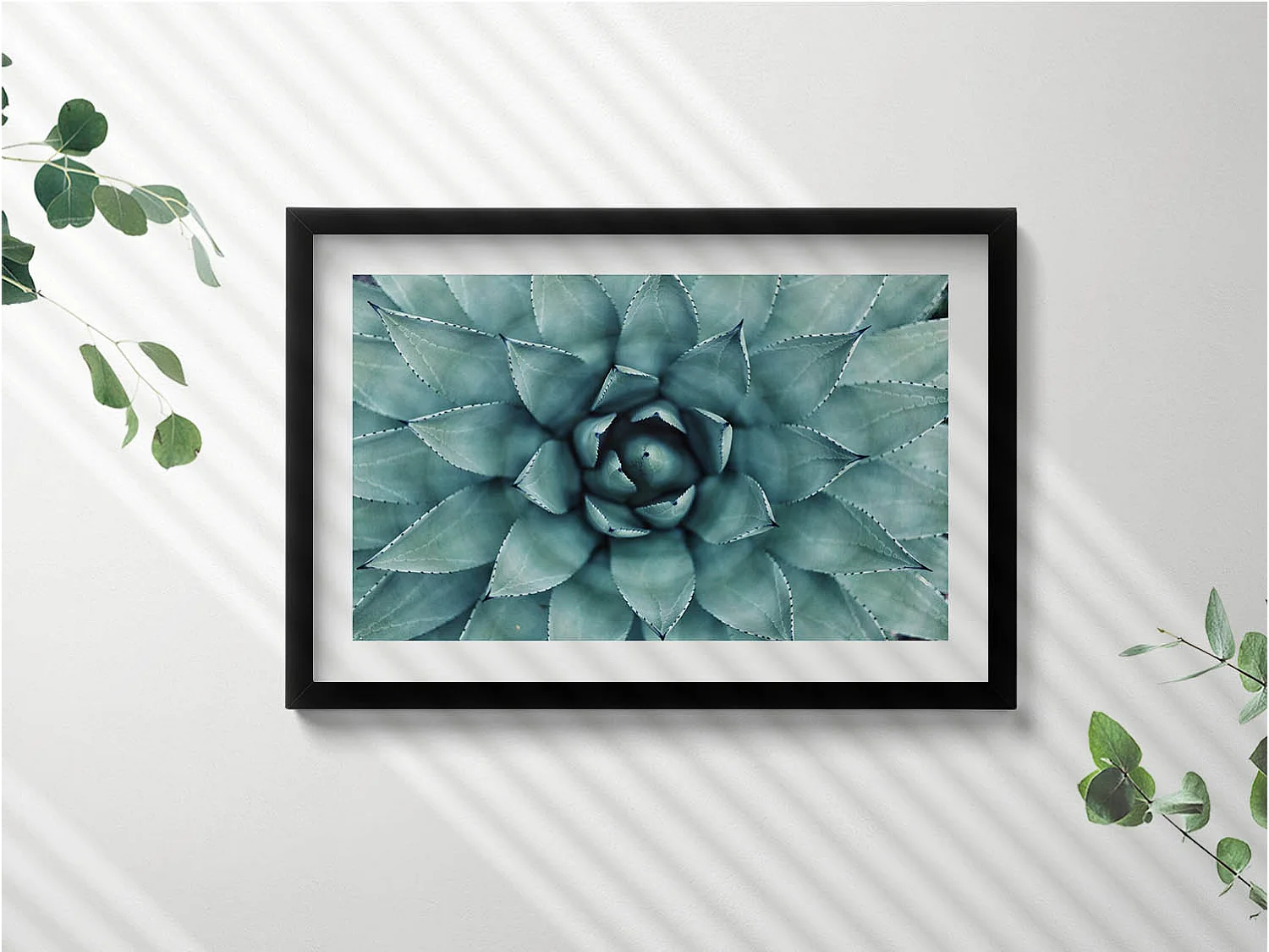 Dekoratives Gemälde mit schwarzem Rahmen, Grüne Sukkulente 60 x 40 cm – Perfekt für das Wohn- oder Schlafzimmer