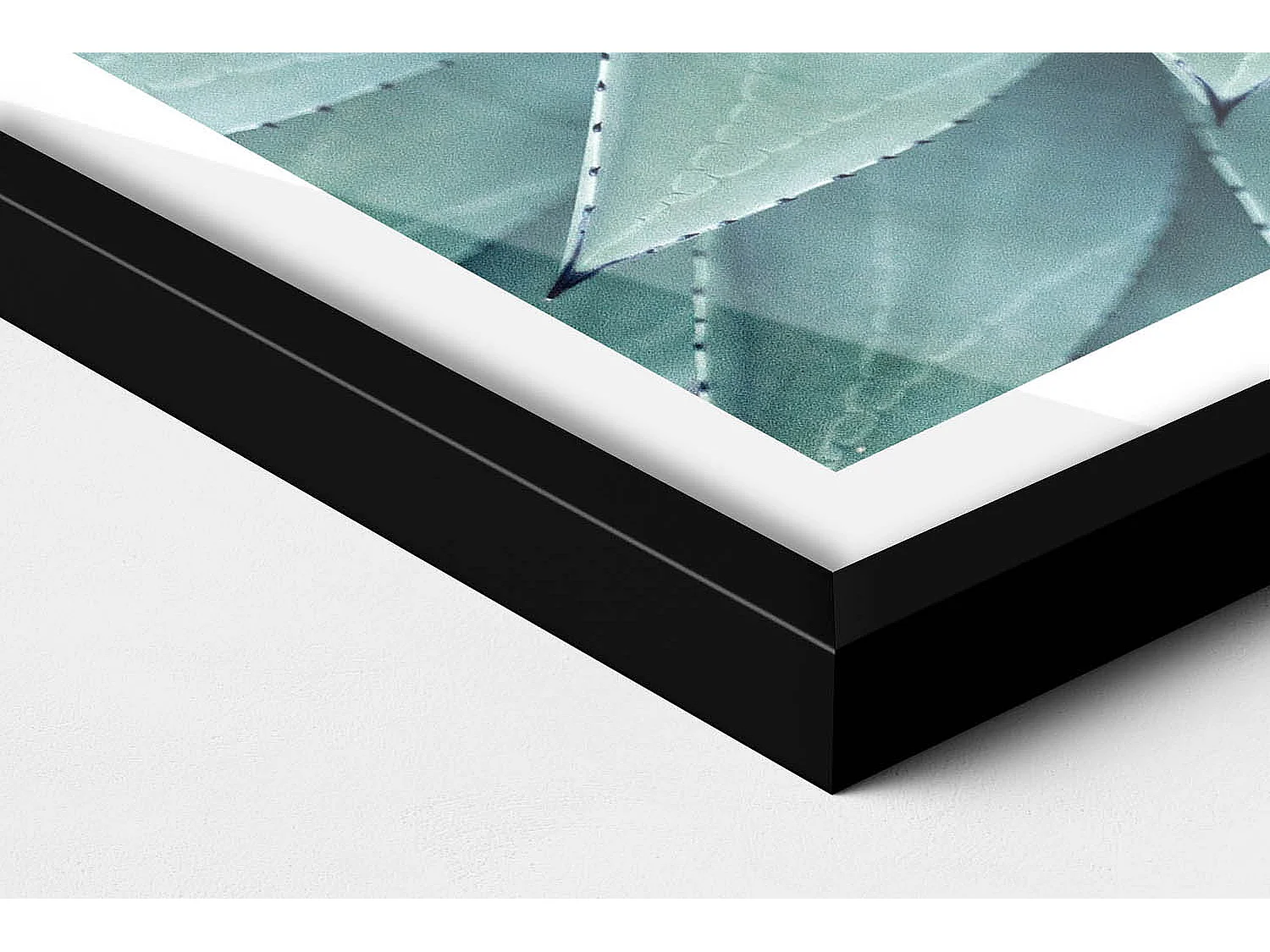 Dekoratives Gemälde mit schwarzem Rahmen, Grüne Sukkulente 60 x 40 cm – Perfekt für das Wohn- oder Schlafzimmer