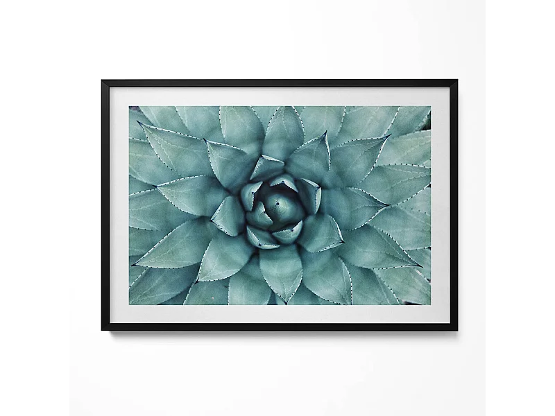 Decoratief schilderij met zwarte lijst, Groene vetplant 100 x 70 cm – Perfect voor de woon- of slaapkamer