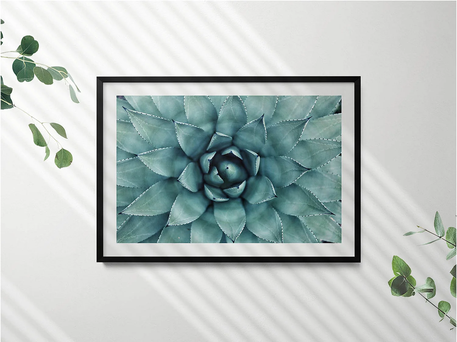 Cuadro decorativo con marco negro, Planta suculenta verde 100 x 70 cm – Perfecto para el salón o el dormitorio