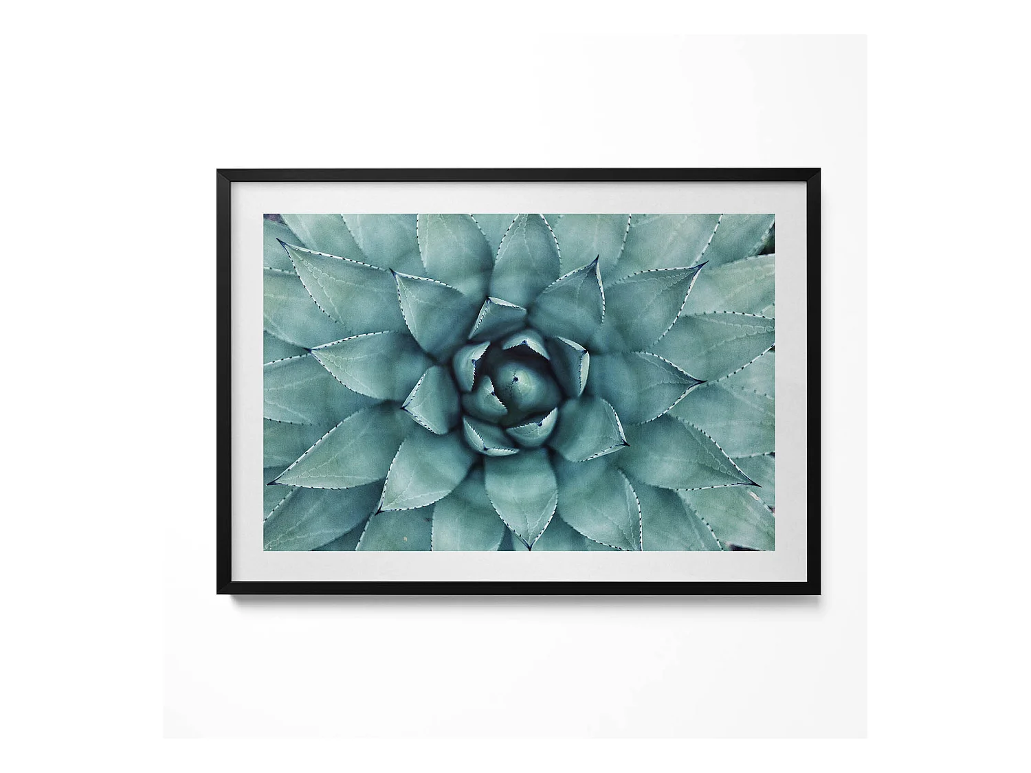 Tableau décoratif avec cadre noir, Plante succulente verte 100 x 70 cm– Parfait pour le salon ou la chambre