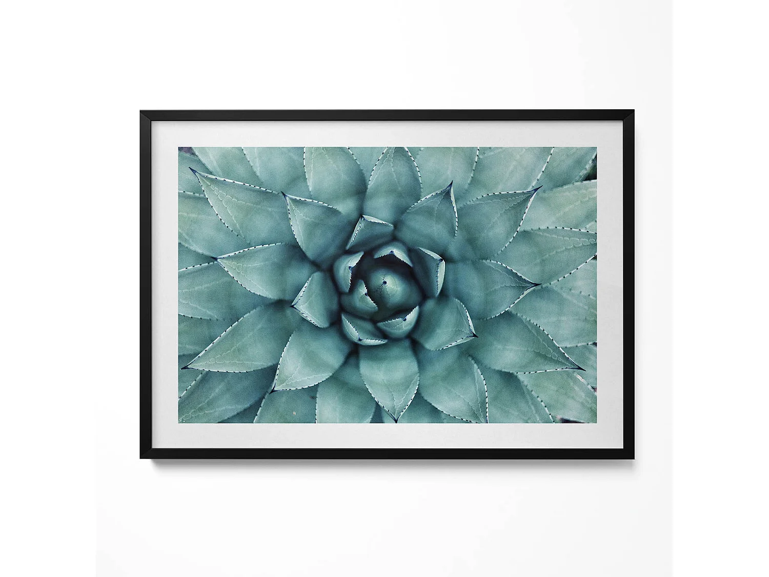Tableau décoratif avec cadre noir, Plante succulente verte 100 x 70 cm– Parfait pour le salon ou la chambre