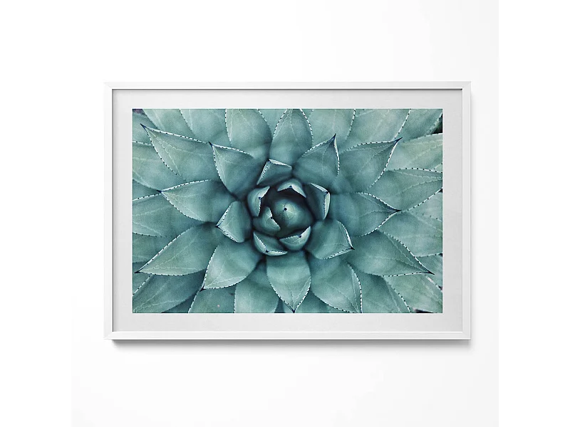 Decoratief schilderij met witte lijst, Groene vetplant 100 x 70 cm – Perfect voor de woon- of slaapkamer