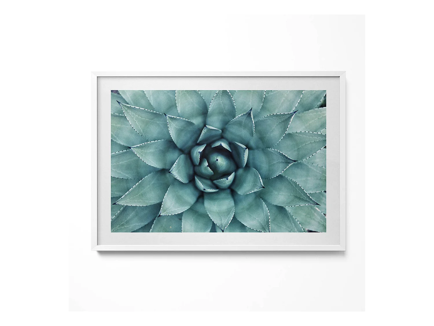Tableau décoratif avec cadre blanc, Plante succulente verte 100 x 70 cm– Parfait pour le salon ou la chambre