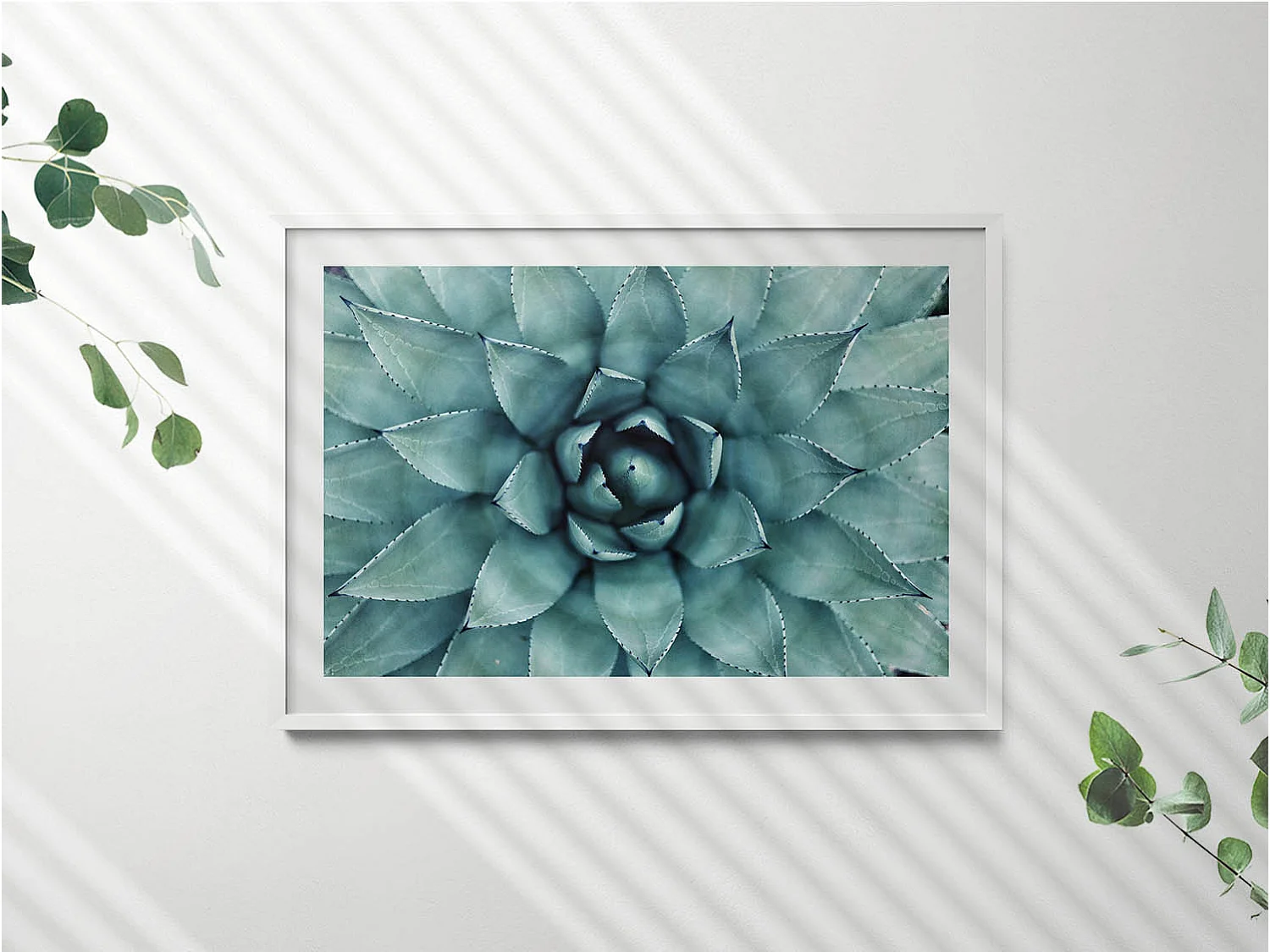 Dekoratives Gemälde mit weißem Rahmen, Grüne Sukkulente 100 x 70 cm – Perfekt für das Wohn- oder Schlafzimmer