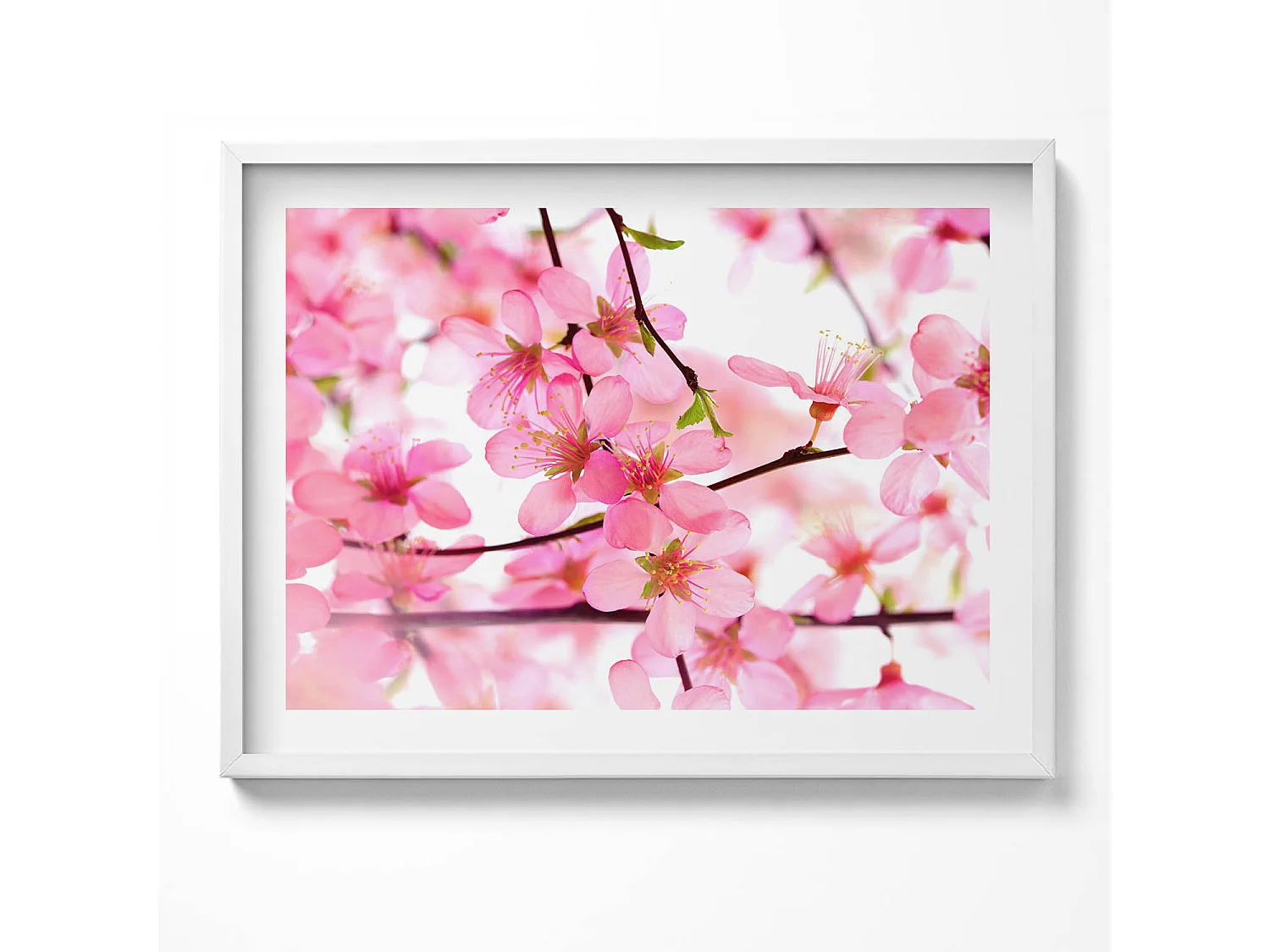 Dekoratives Gemälde mit weißem Rahmen, Rosa Frühlingsblumen auf den Zweigen 80 x 60 cm – Perfekt für das Wohn- oder Schlafzimmer