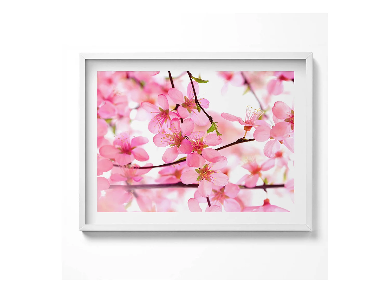 Tableau décoratif avec cadre blanc, Fleurs printanières roses sur les branches 80 x 60 cm– Parfait pour le salon ou la chambre