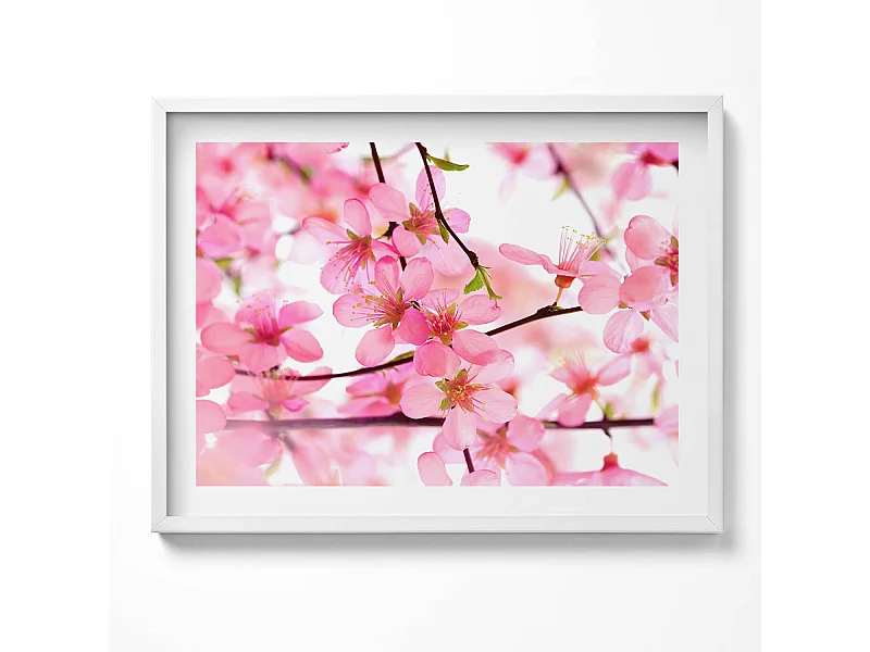 Dekoratives Gemälde mit weißem Rahmen, Rosa Frühlingsblumen auf den Zweigen 80 x 60 cm – Perfekt für das Wohn- oder Schlafzimmer