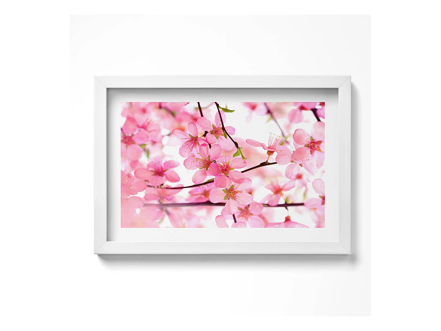 Tableau décoratif avec cadre blanc, Fleurs printanières roses sur les branches 30 x 20 cm – Parfait pour le salon ou la chambre