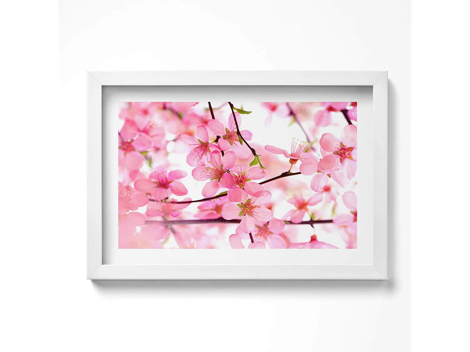 Tableau décoratif avec cadre blanc, Fleurs printanières roses sur les branches 30 x 20 cm – Parfait pour le salon ou la chambre