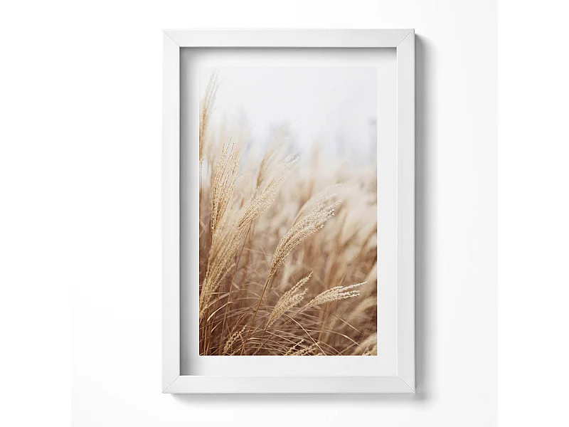 Tableau décoratif avec cadre blanc, Céréales d'herbe de bohème nature 20 x 30 cm – Parfait pour le salon ou la chambre