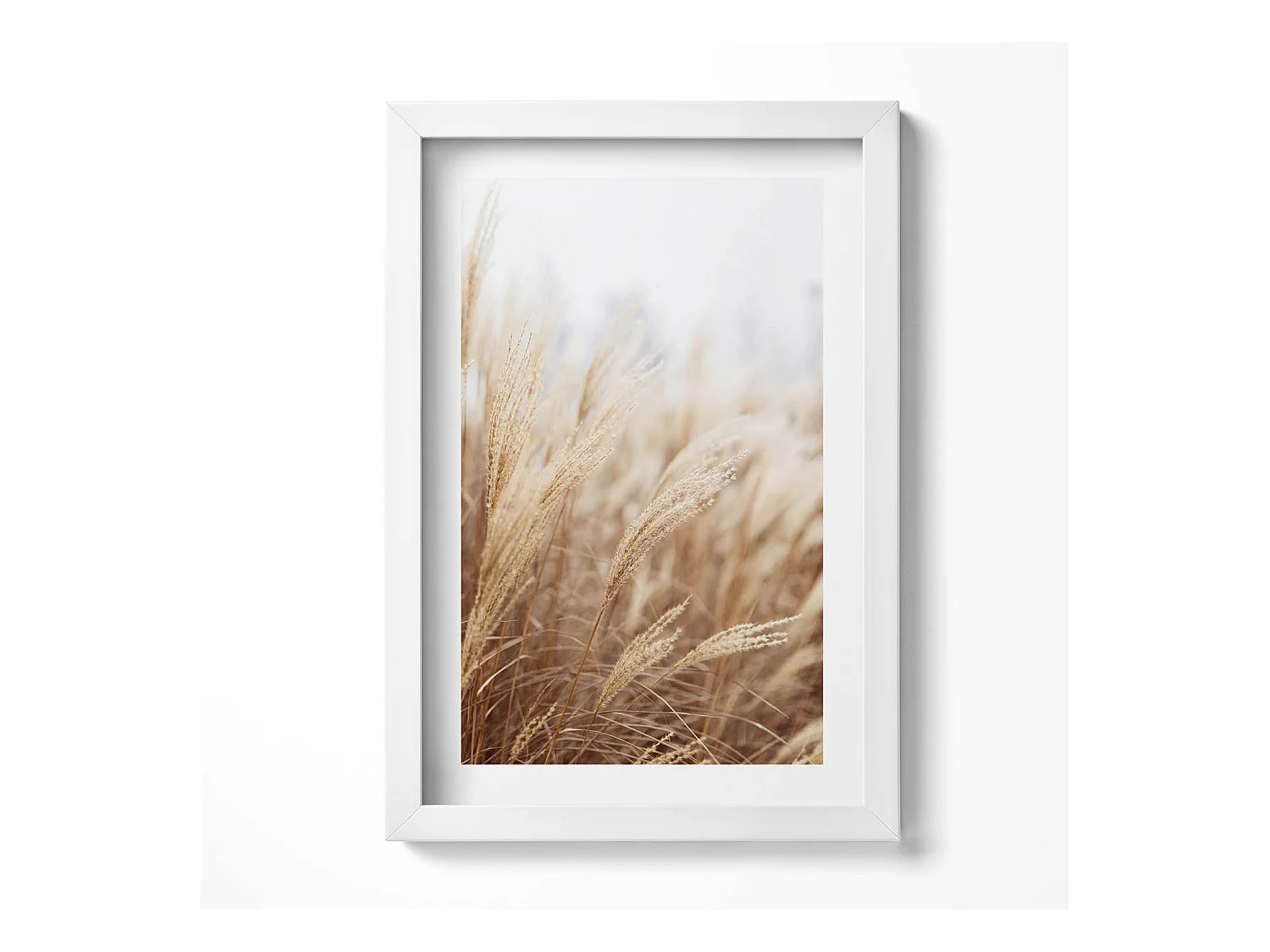 Tableau décoratif avec cadre blanc, Céréales d'herbe de bohème nature 20 x 30 cm – Parfait pour le salon ou la chambre