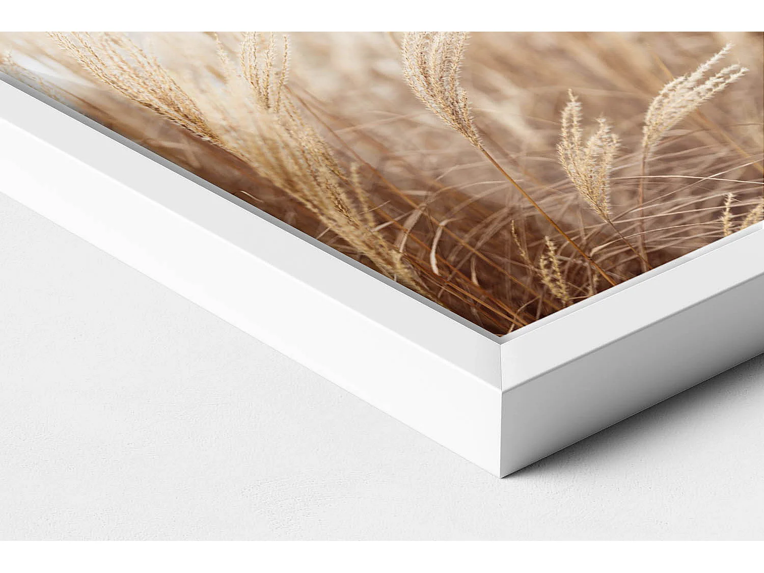 Tableau décoratif avec cadre blanc, Céréales d'herbe de bohème nature 20 x 30 cm – Parfait pour le salon ou la chambre