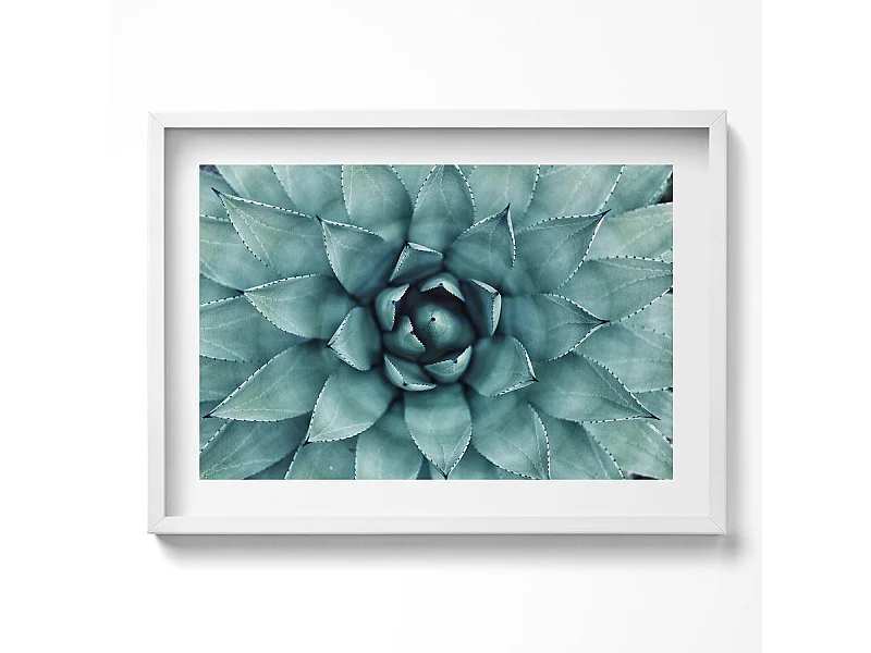 Decoratief schilderij met witte lijst, Groene vetplant 70 x 50 cm – Perfect voor de woon- of slaapkamer