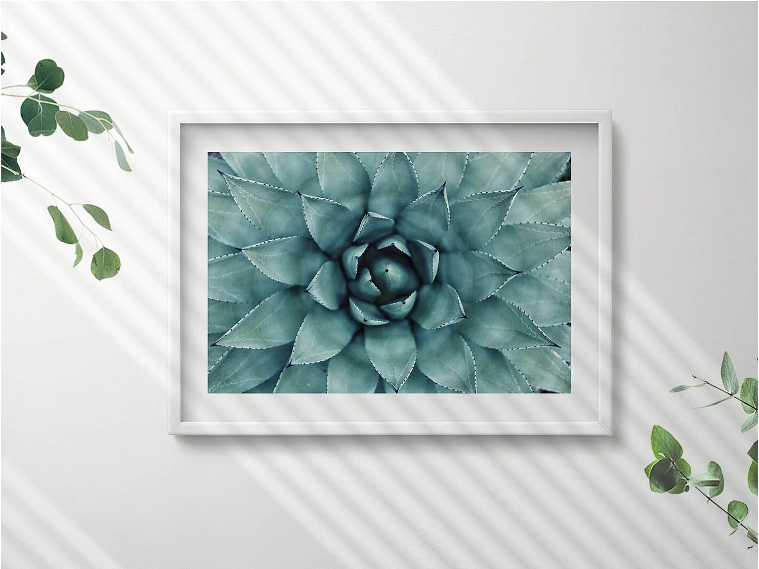 Dekoratives Gemälde mit weißem Rahmen, Grüne Sukkulente 70 x 50 cm – Perfekt für das Wohn- oder Schlafzimmer