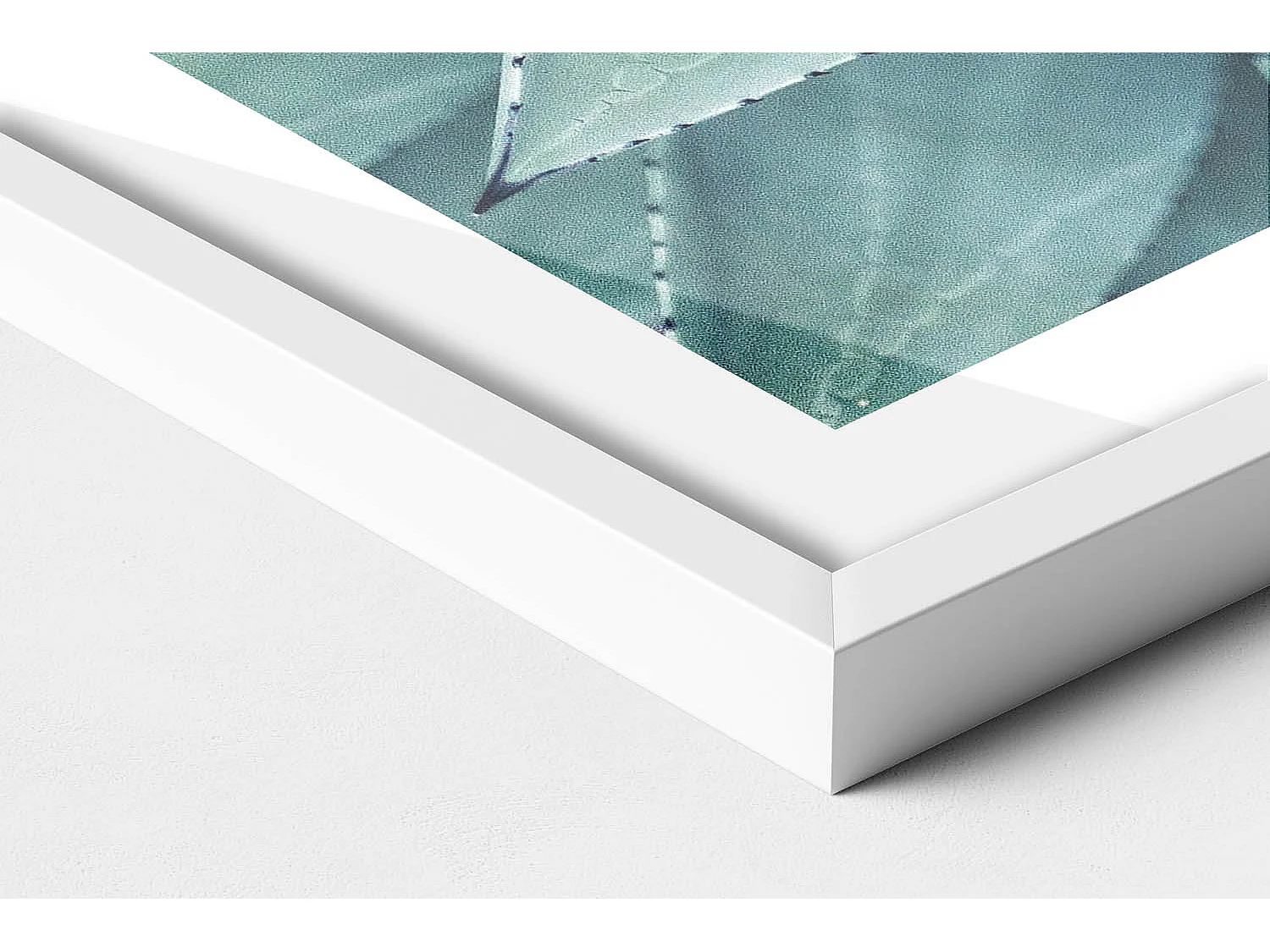 Dekoratives Gemälde mit weißem Rahmen, Grüne Sukkulente 70 x 50 cm – Perfekt für das Wohn- oder Schlafzimmer