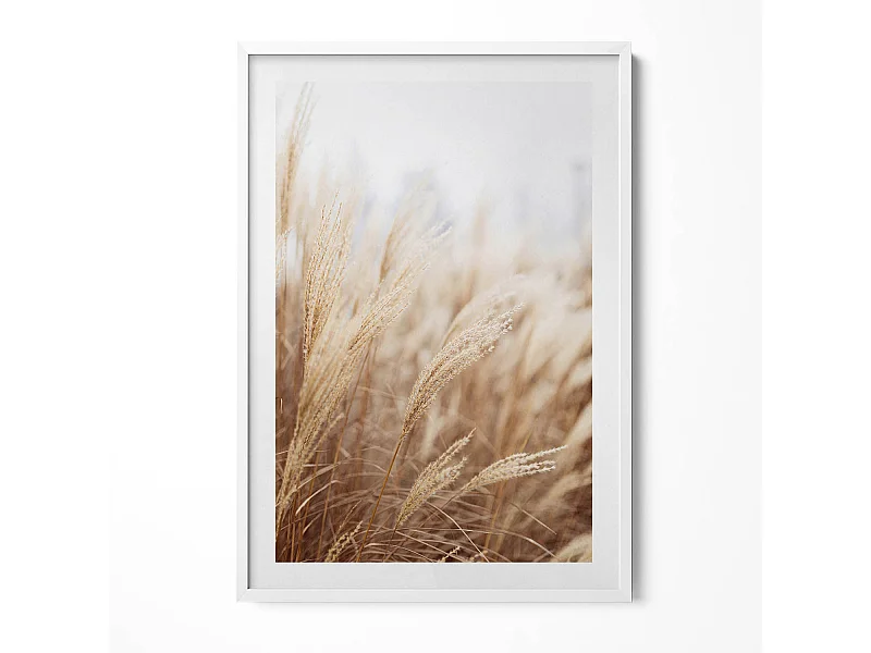 Decoratief schilderij met witte lijst, Boheemse grasgranen natuur 70 x 100 cm – Perfect voor de woon- of slaapkamer