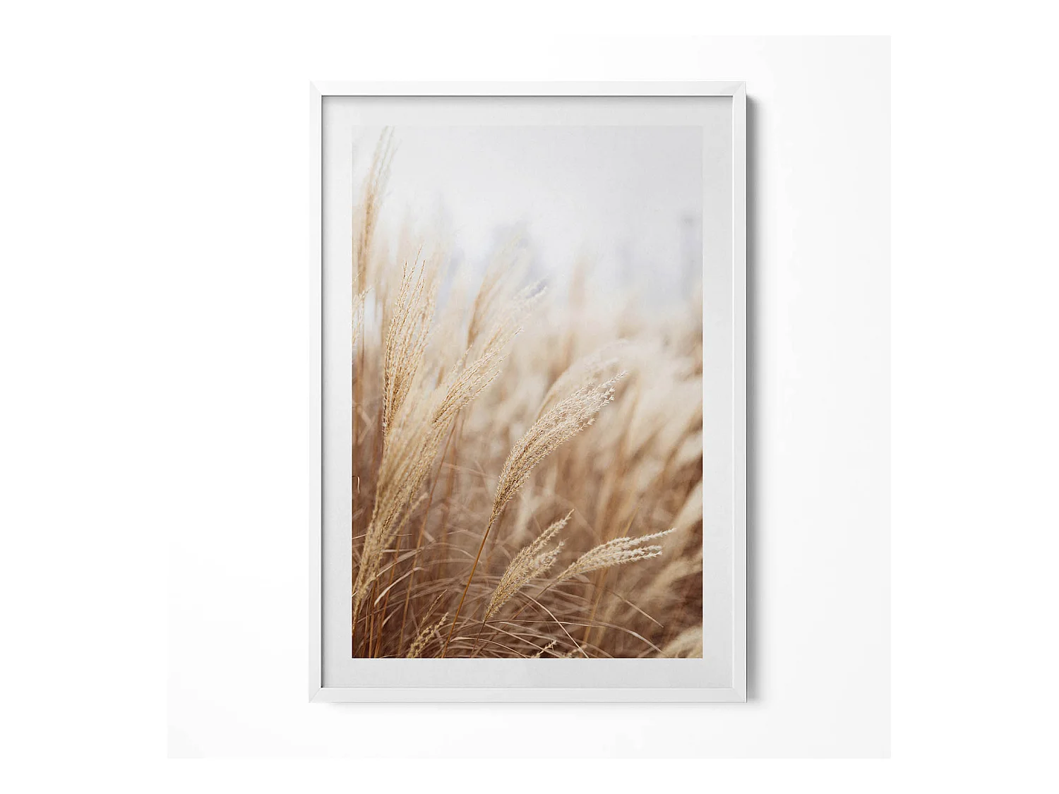 Tableau décoratif avec cadre blanc, Céréales d'herbe de bohème nature 70 x 100 cm– Parfait pour le salon ou la chambre