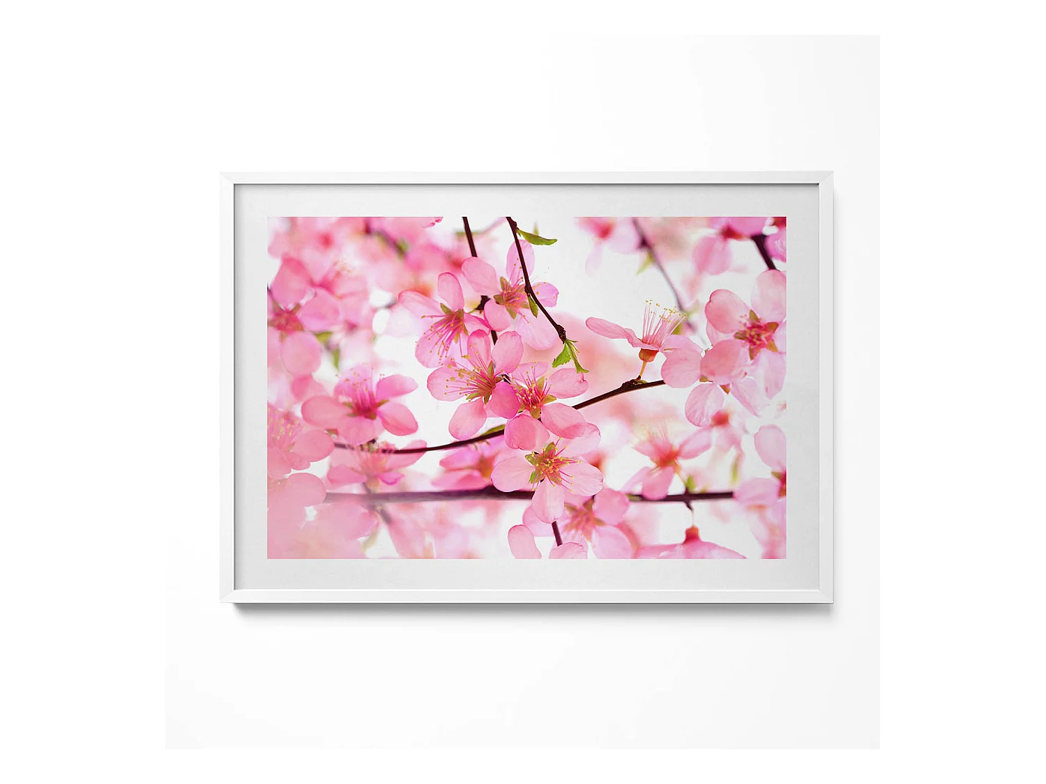 Tableau décoratif avec cadre blanc, Fleurs printanières roses sur les branches 100 x 70 cm– Parfait pour le salon ou la chambre